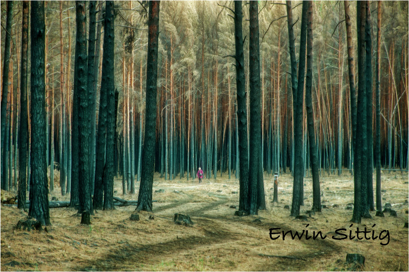 Erfolg beim Fotowettbewerb